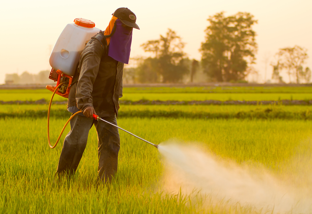 What s Hybrid Organic Lawn Care
